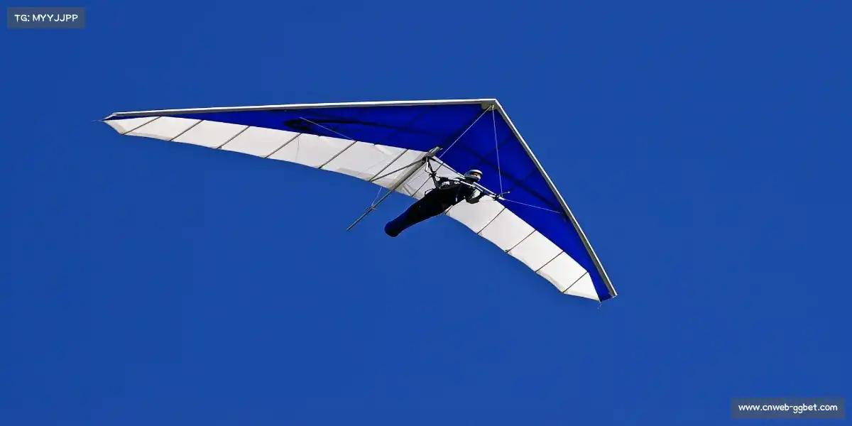 在线赌注——无畏征途，撼动天地！🌟